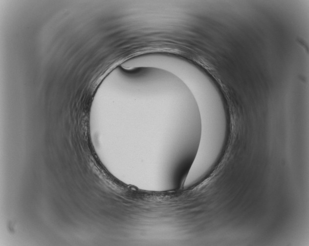 X0000102261369200808221405