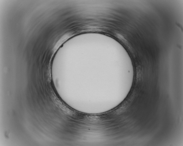 X0000102261370200808221405