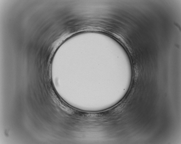 X0000102261371200808221405