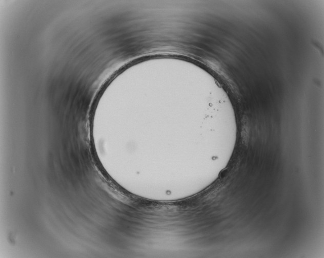 X0000102261372200808221405
