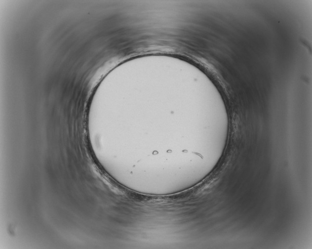 X0000102261373200808221405