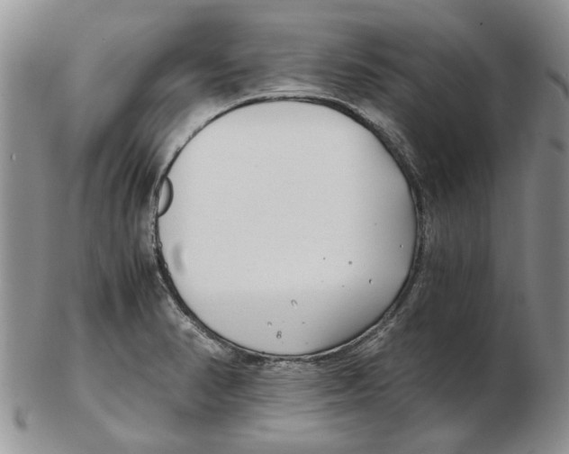 X0000102261374200808221405
