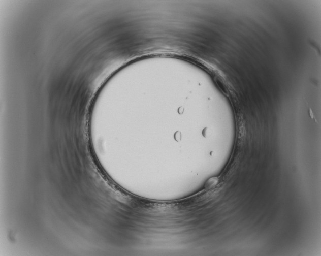 X0000102261375200808221405