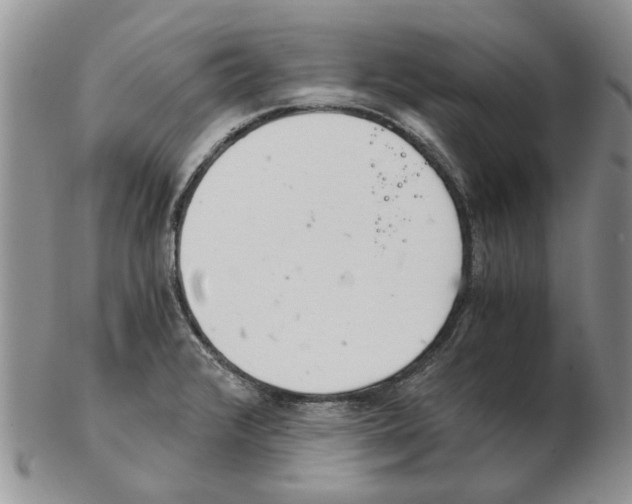 X0000102261376200808221405
