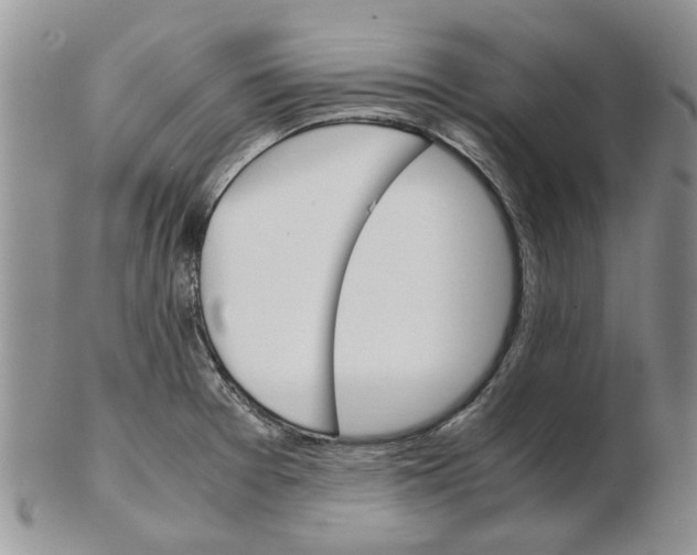 X0000102261377200808221405