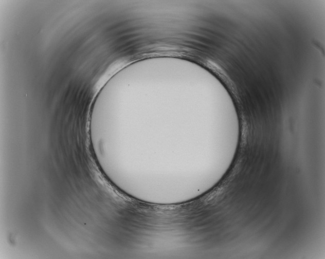 X0000102261378200808221405
