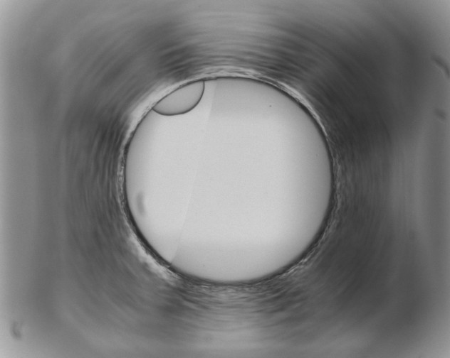 X0000102261379200808221405