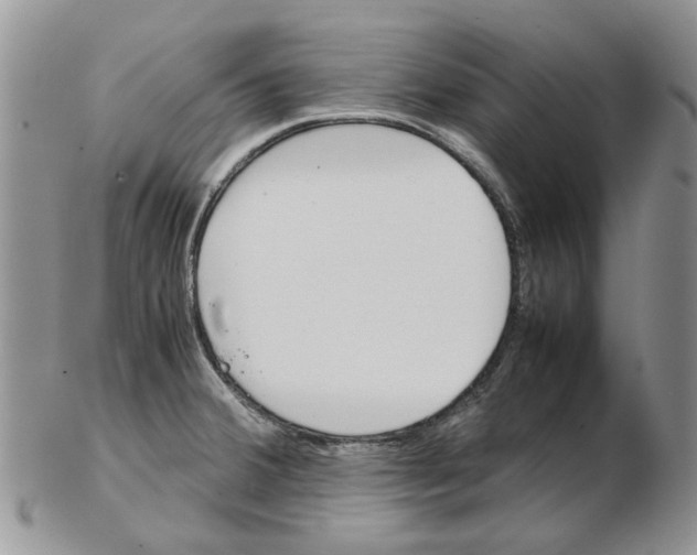 X0000102261380200808221405