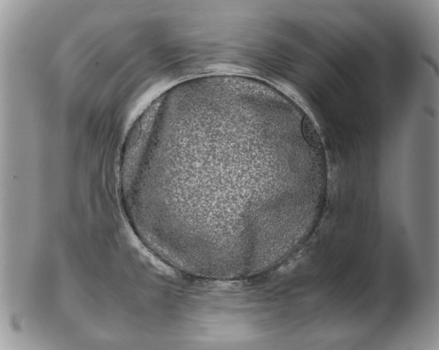 X0000102261381200808221405