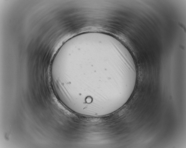 X0000102261382200808221405