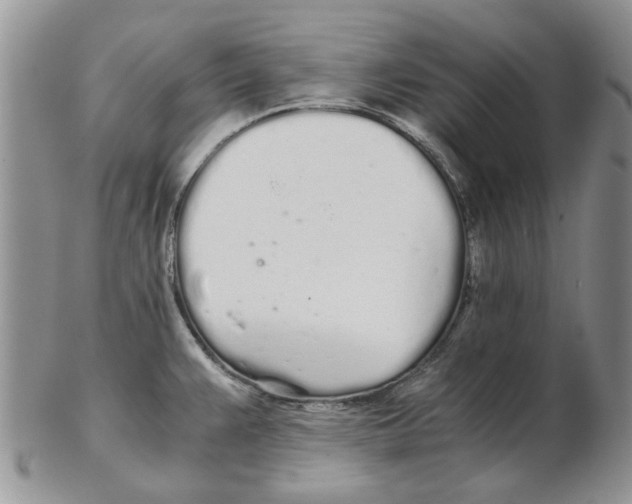 X0000102261383200808221405