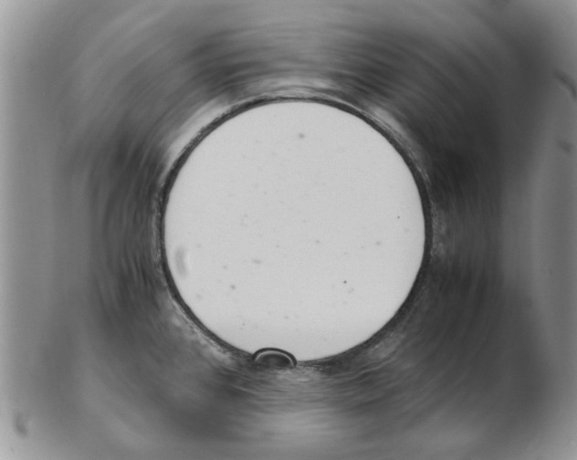 X0000102261384200808221405