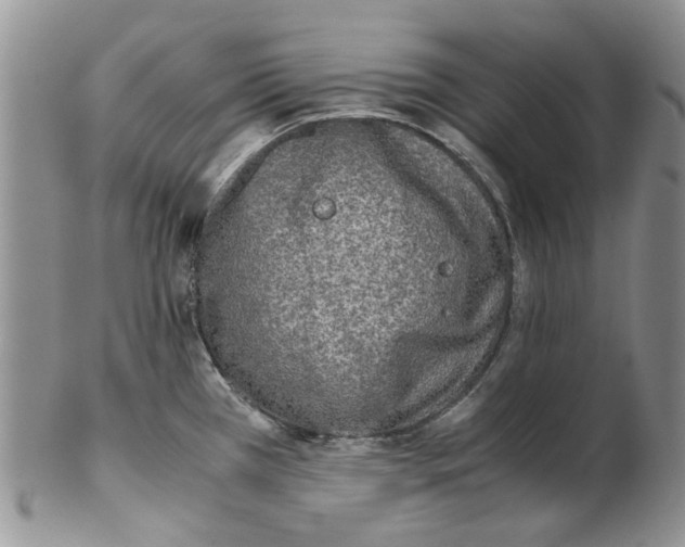 X0000102261385200808221405