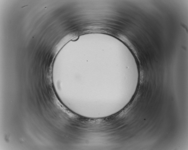 X0000102261386200808221405