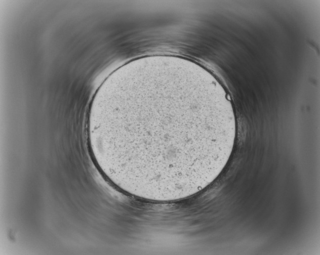 X0000102261387200808221405