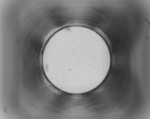 X0000102261388200808221405