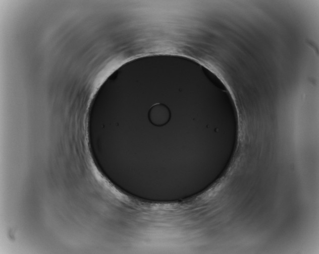 X0000102261389200808221405