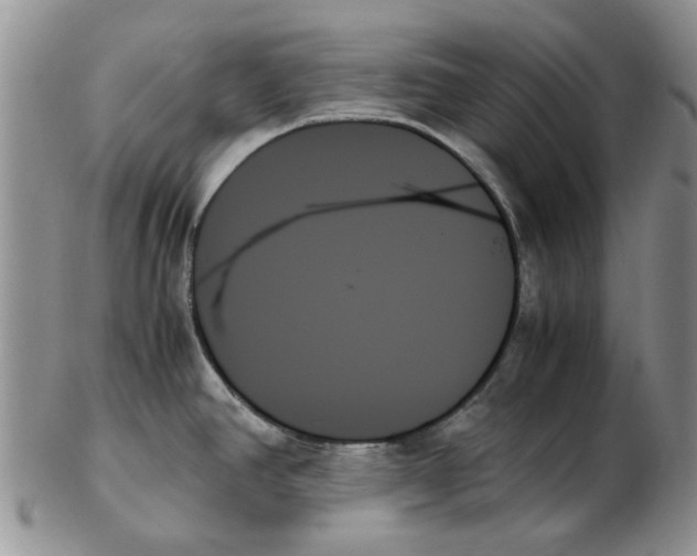 X0000102261390200808221405