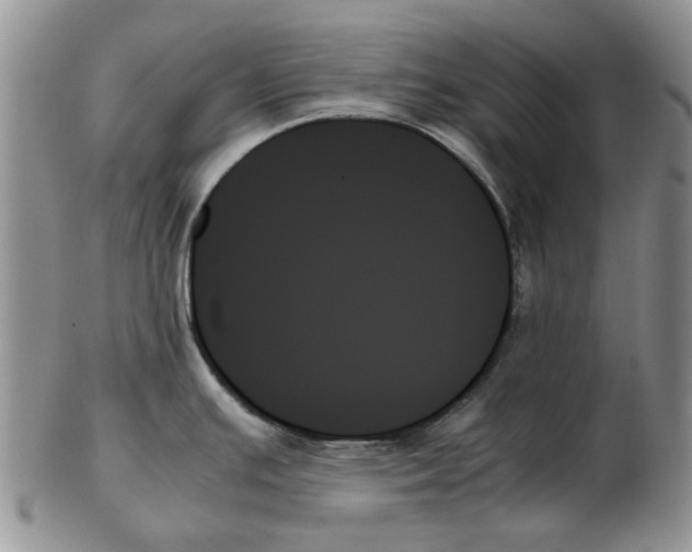 X0000102261391200808221405