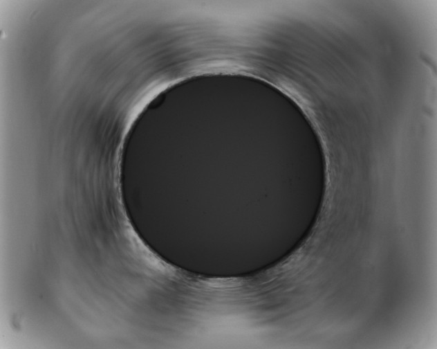 X0000102261392200808221405