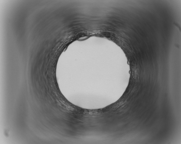 X0000102261393200808221404