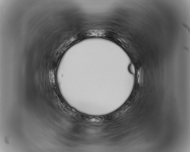 X0000102261395200808221404