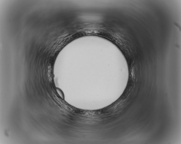 X0000102261396200808221404