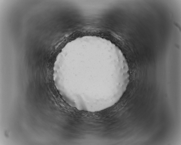 X0000102261397200808221404