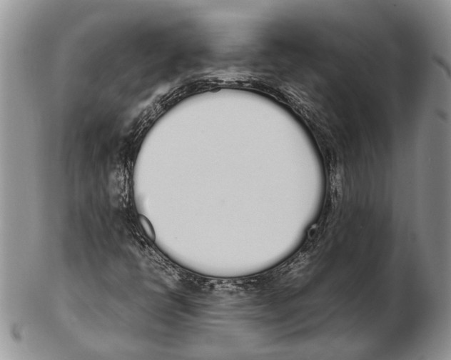 X0000102261398200808221404