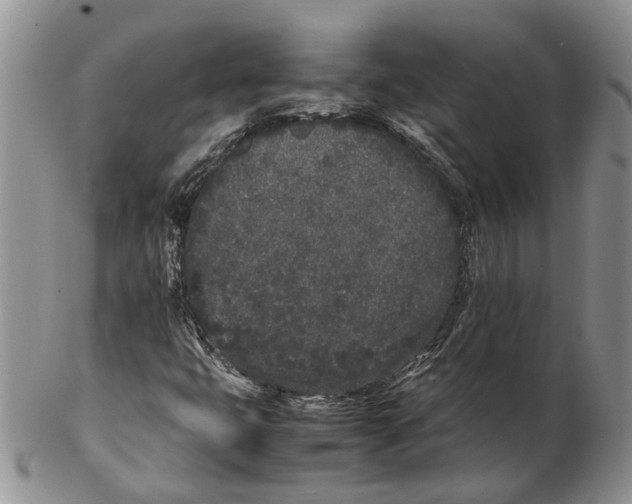 X0000102261399200808221404