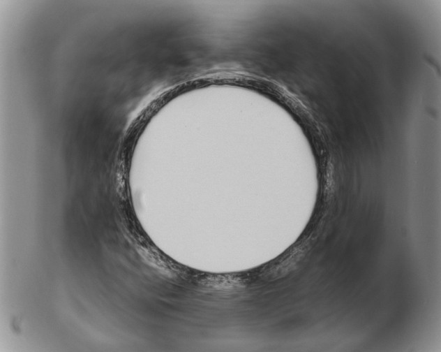 X0000102261400200808221404