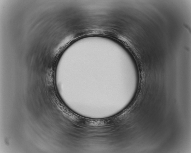 X0000102261403200808221405