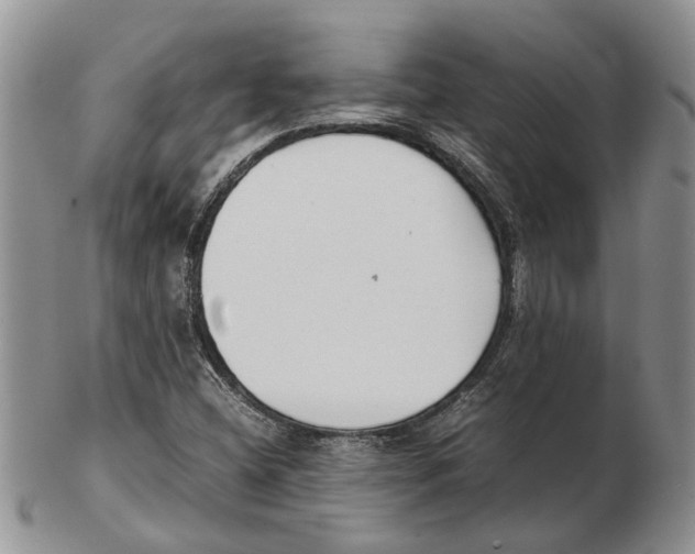 X0000102261404200808221405
