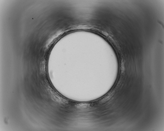X0000102261406200808221405