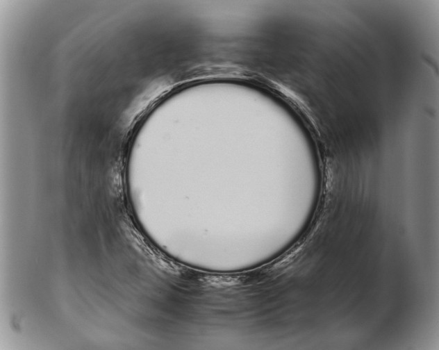 X0000102261407200808221405