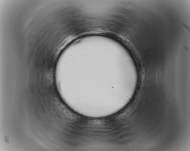 X0000102261409200808221405