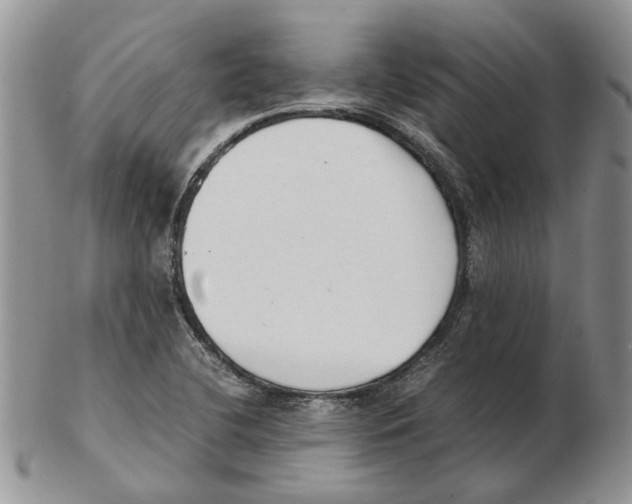 X0000102261412200808221405