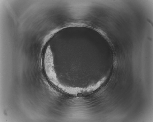 X0000102261414200808221405