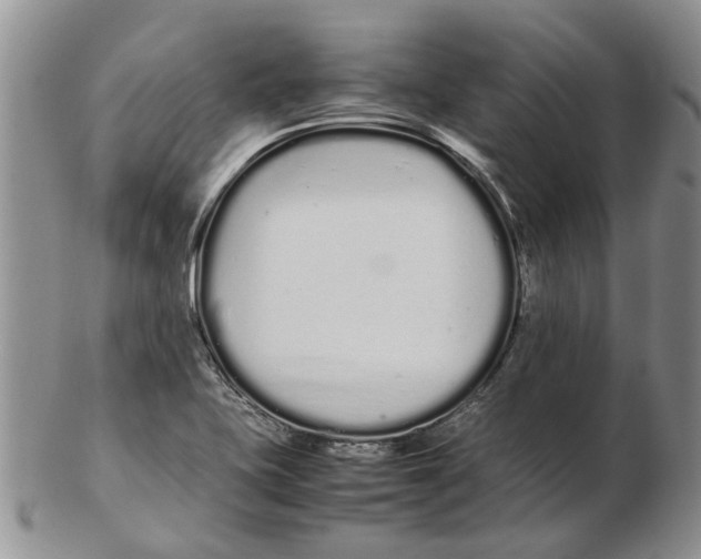 X0000102261415200808221405