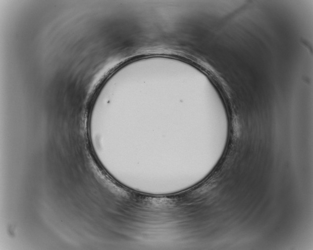 X0000102261416200808221405