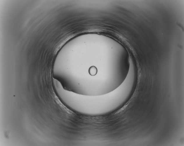 X0000102261417200808221405