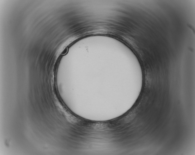 X0000102261418200808221405
