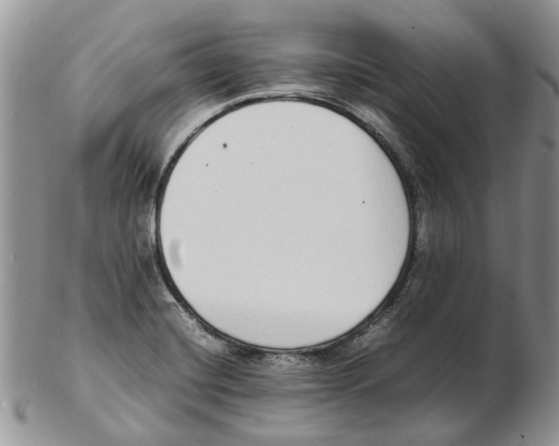 X0000102261420200808221405