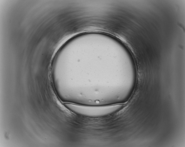 X0000102261421200808221405