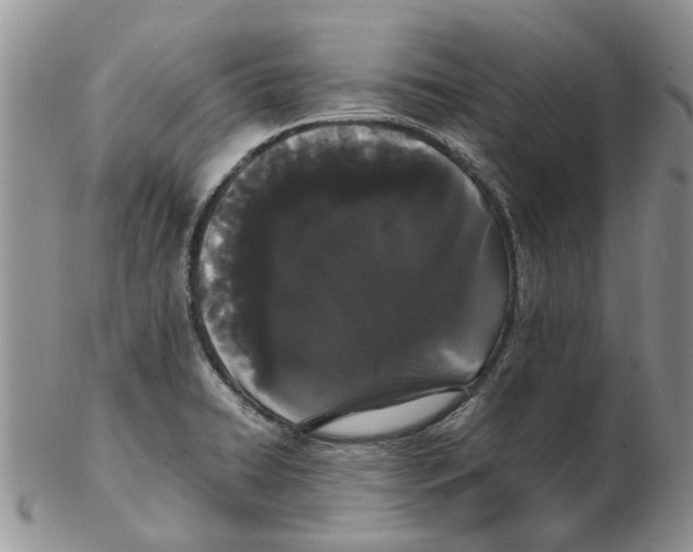 X0000102261422200808221405