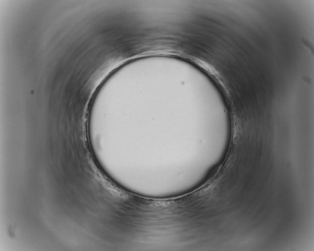 X0000102261423200808221405