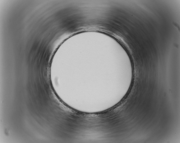X0000102261424200808221405