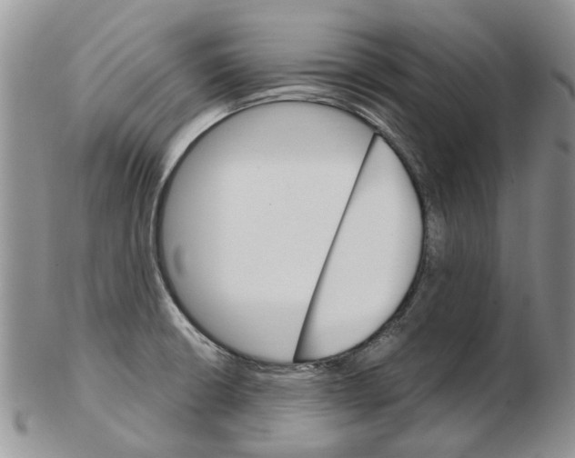 X0000102261426200808221405
