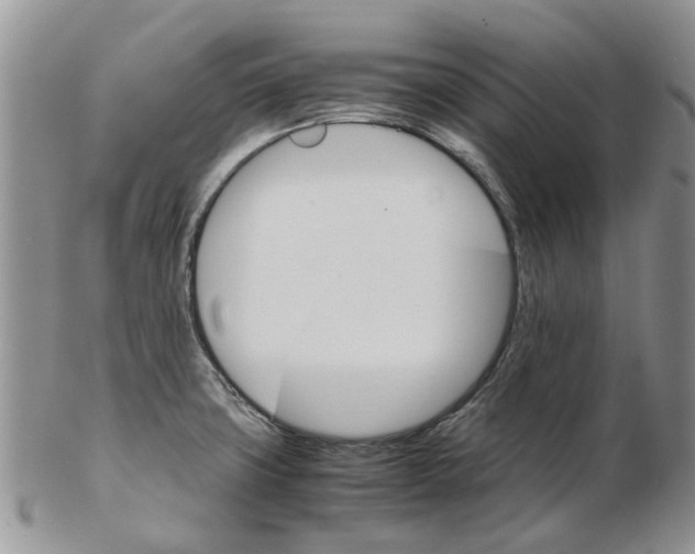 X0000102261427200808221405