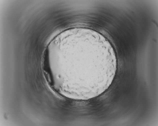 X0000102261429200808221405